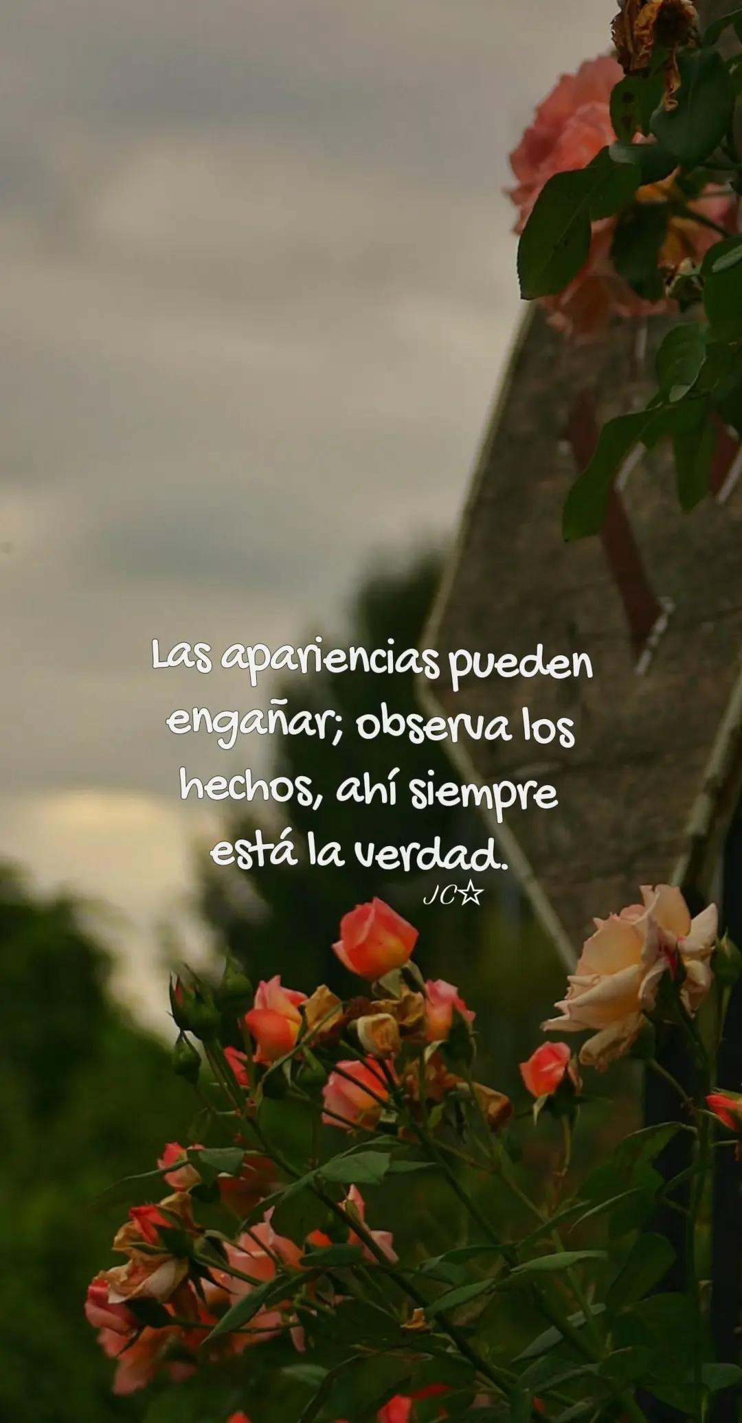 @Juany Canelas