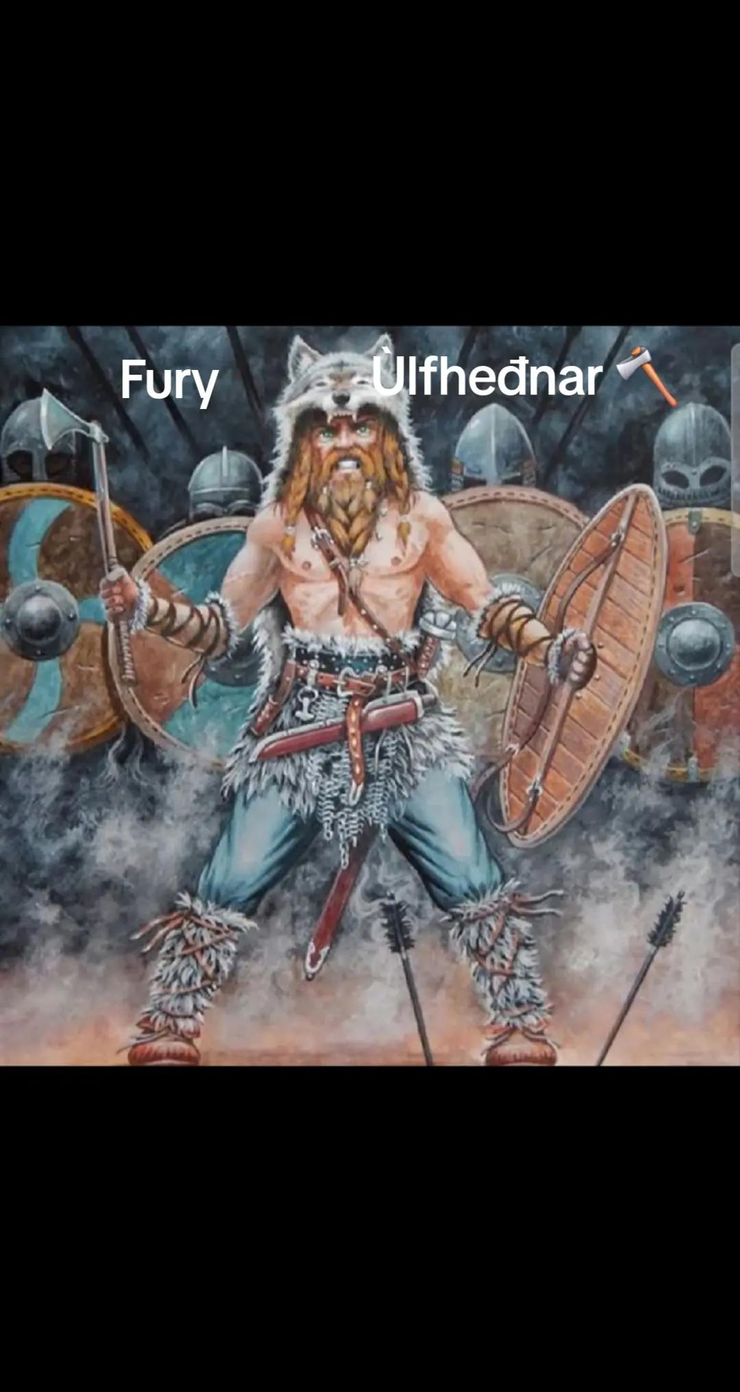@Old man Berserker🪓&Uacute;lfheđnar