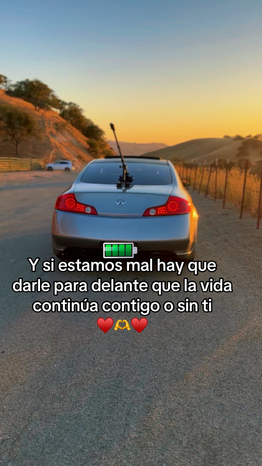 @FeliFeli