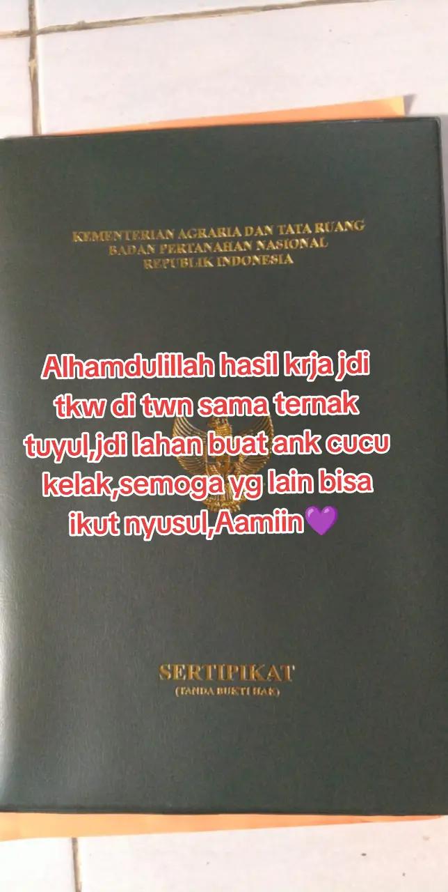 @❄️🌧️Sihitam_Malikah_🔥⭐🐉