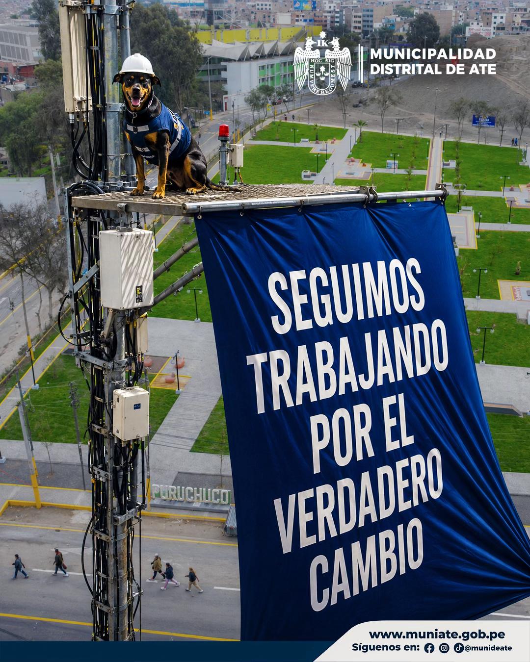 @MUNICIPALIDAD DE ATE