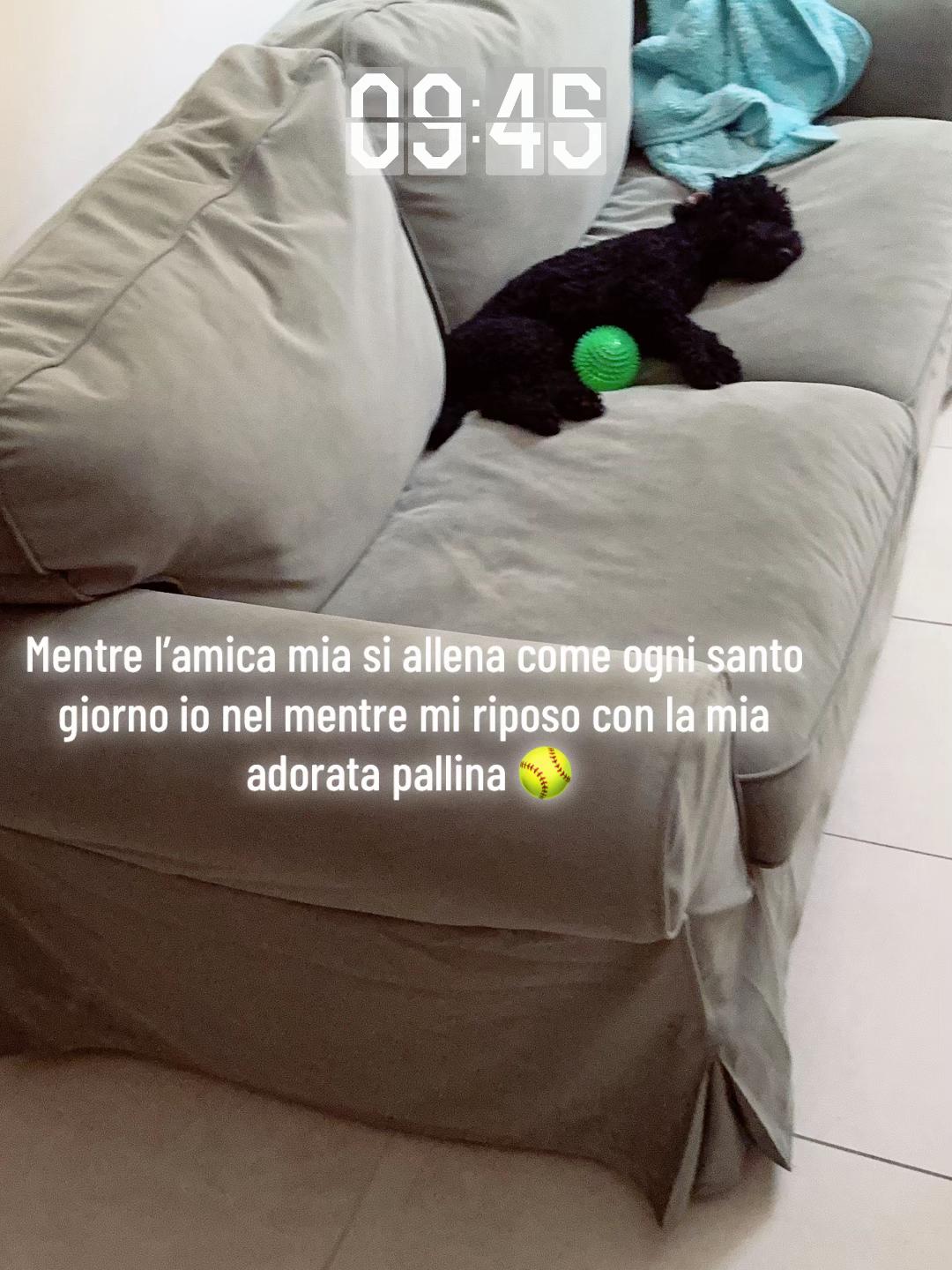 @catrin.yorki🖤🐶🌈🏳️🌈💜