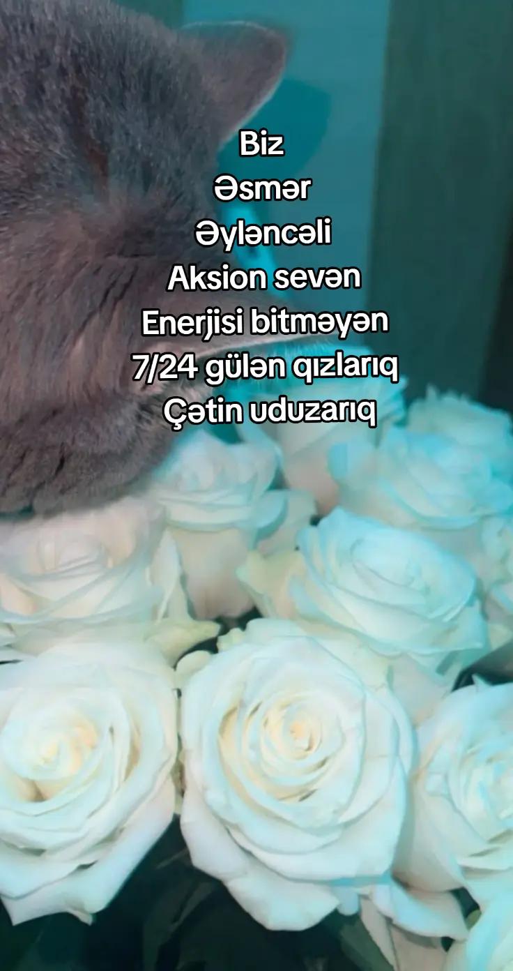 @🤍