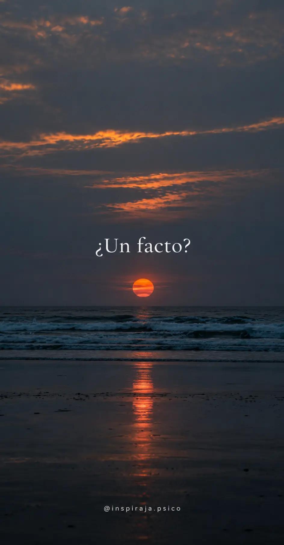@Evelin Barahona
