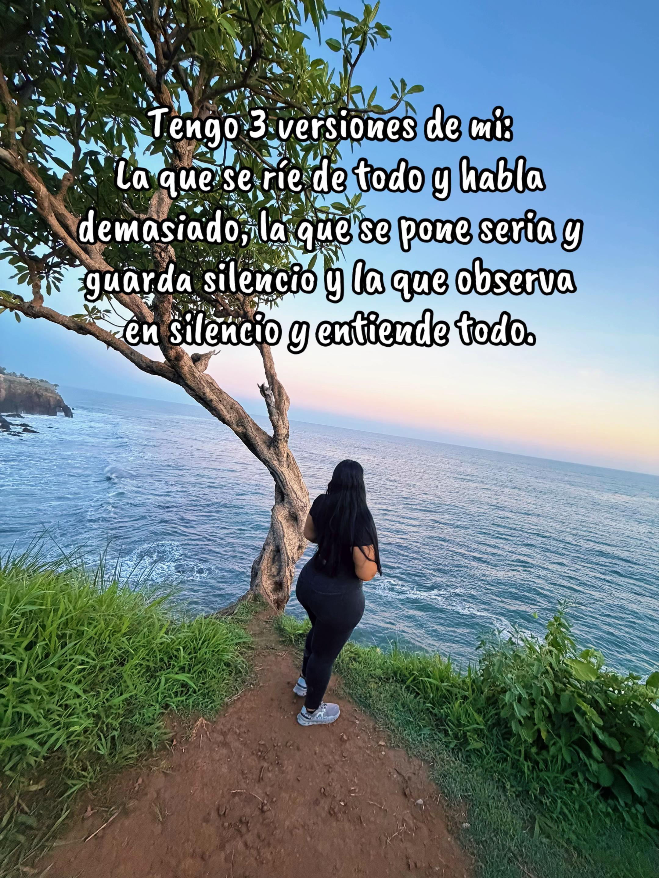 @🌻 Mi SOL🐝