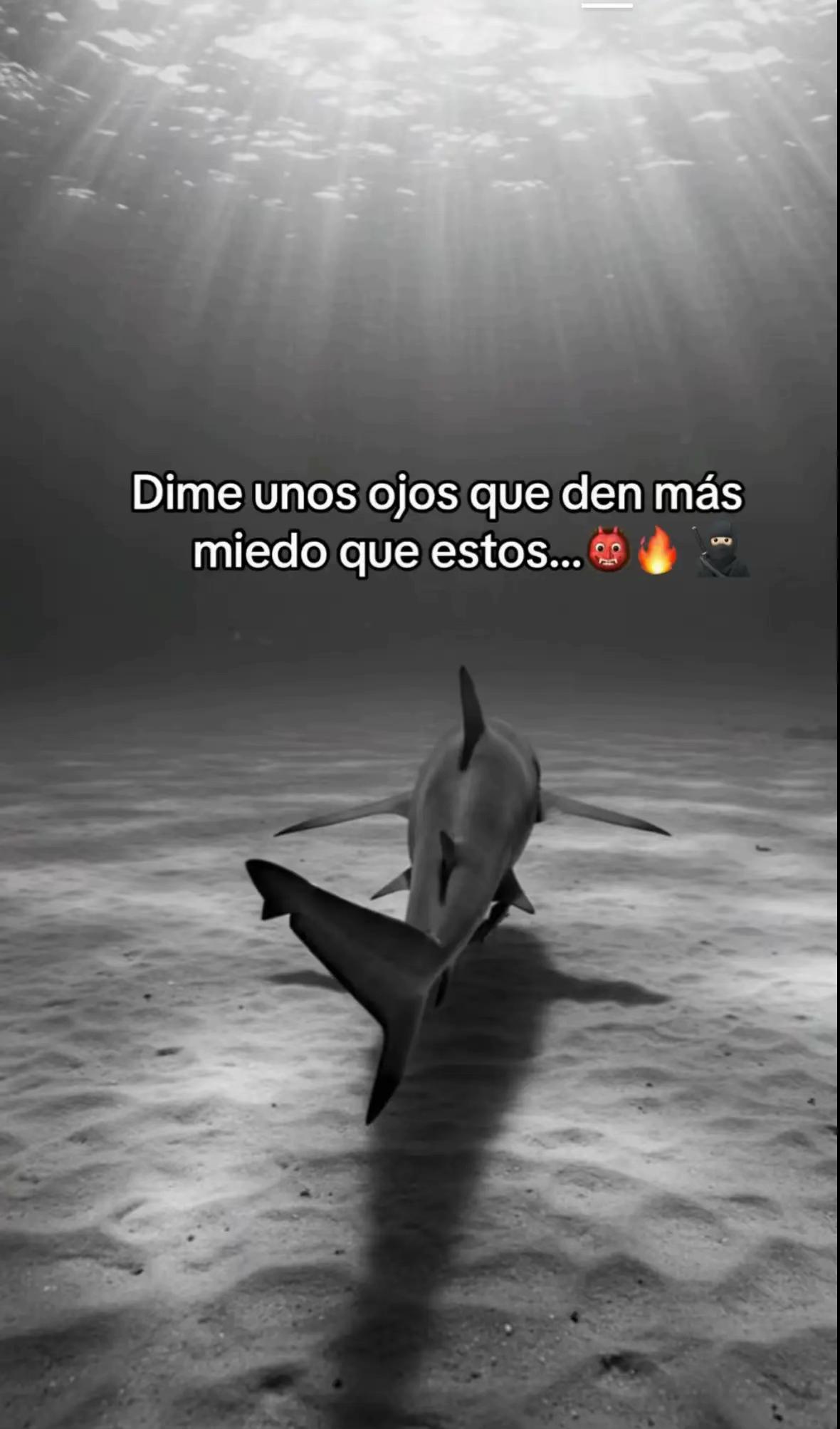 @JhonMT03