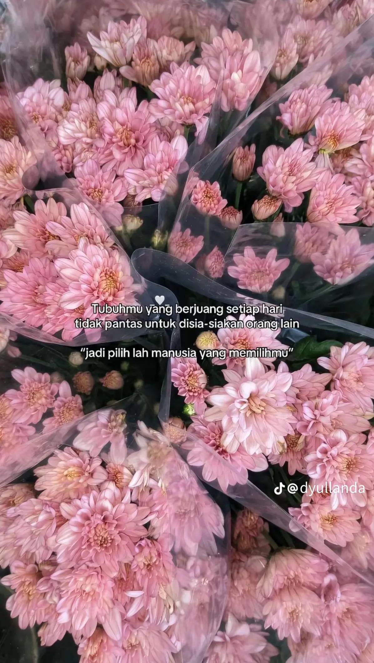@3.S_ilyᴸᵀᴹ