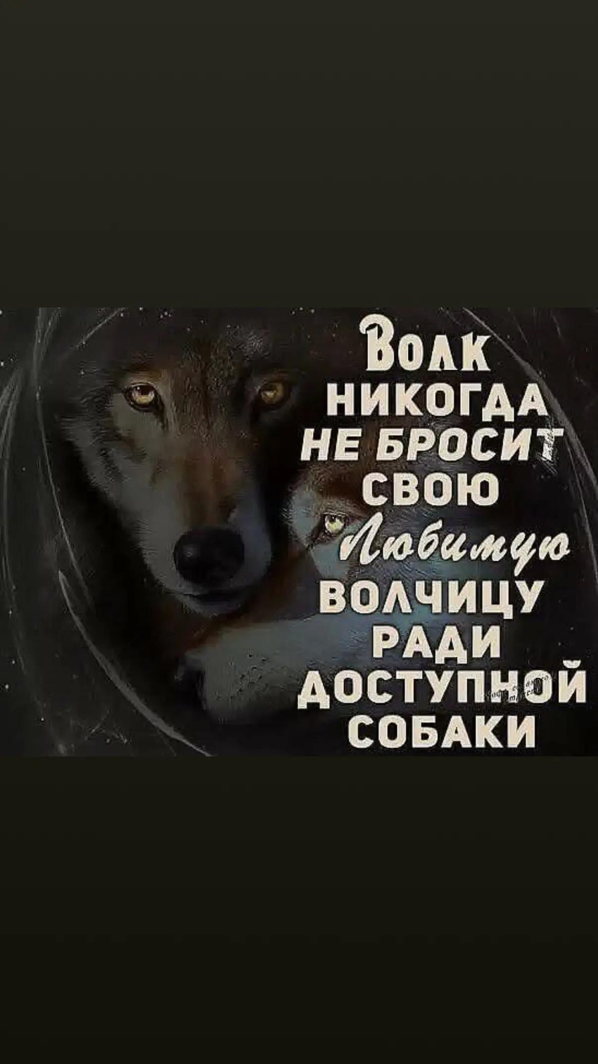 @erjan_talas