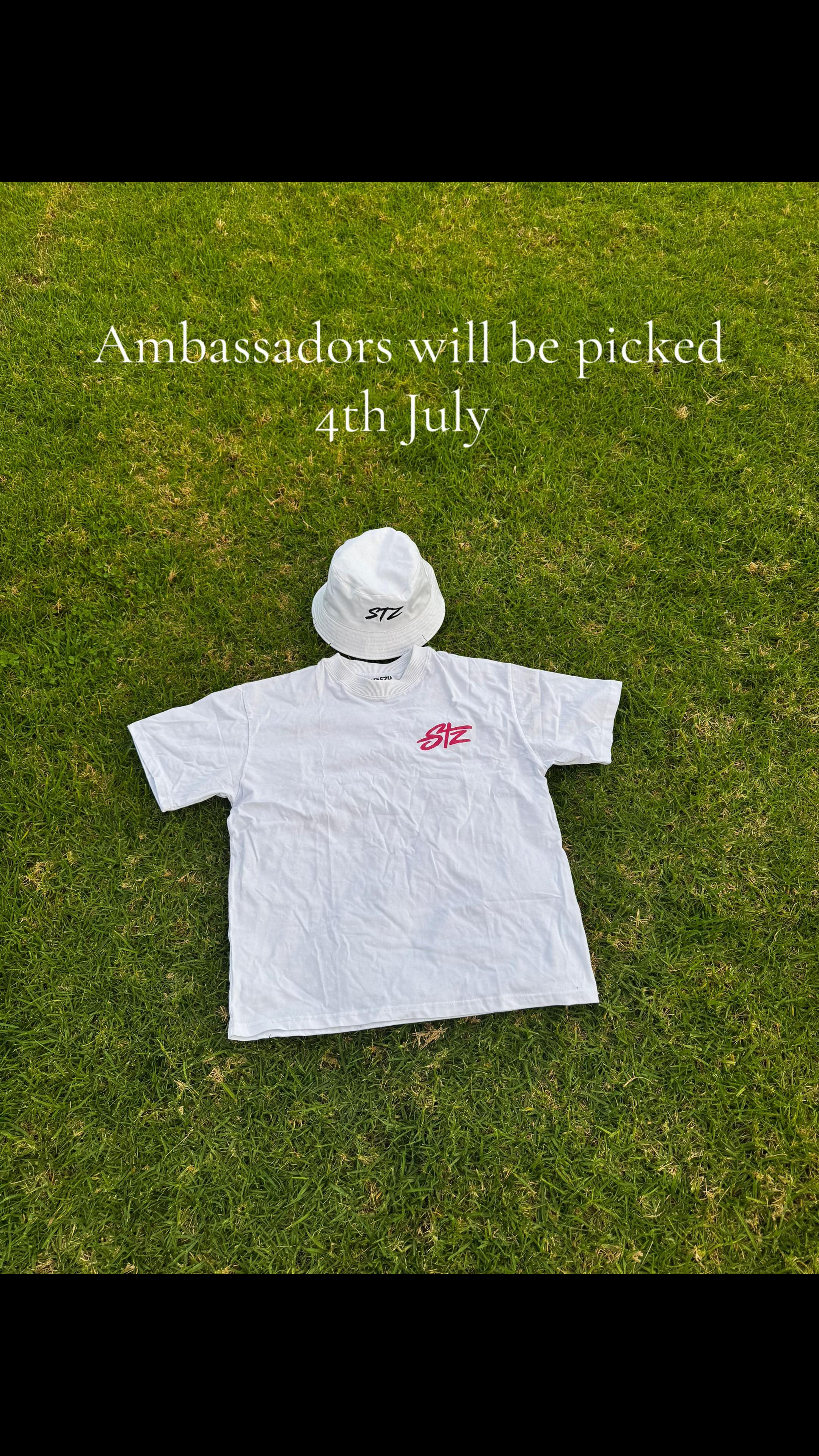 @The Steezy Collection