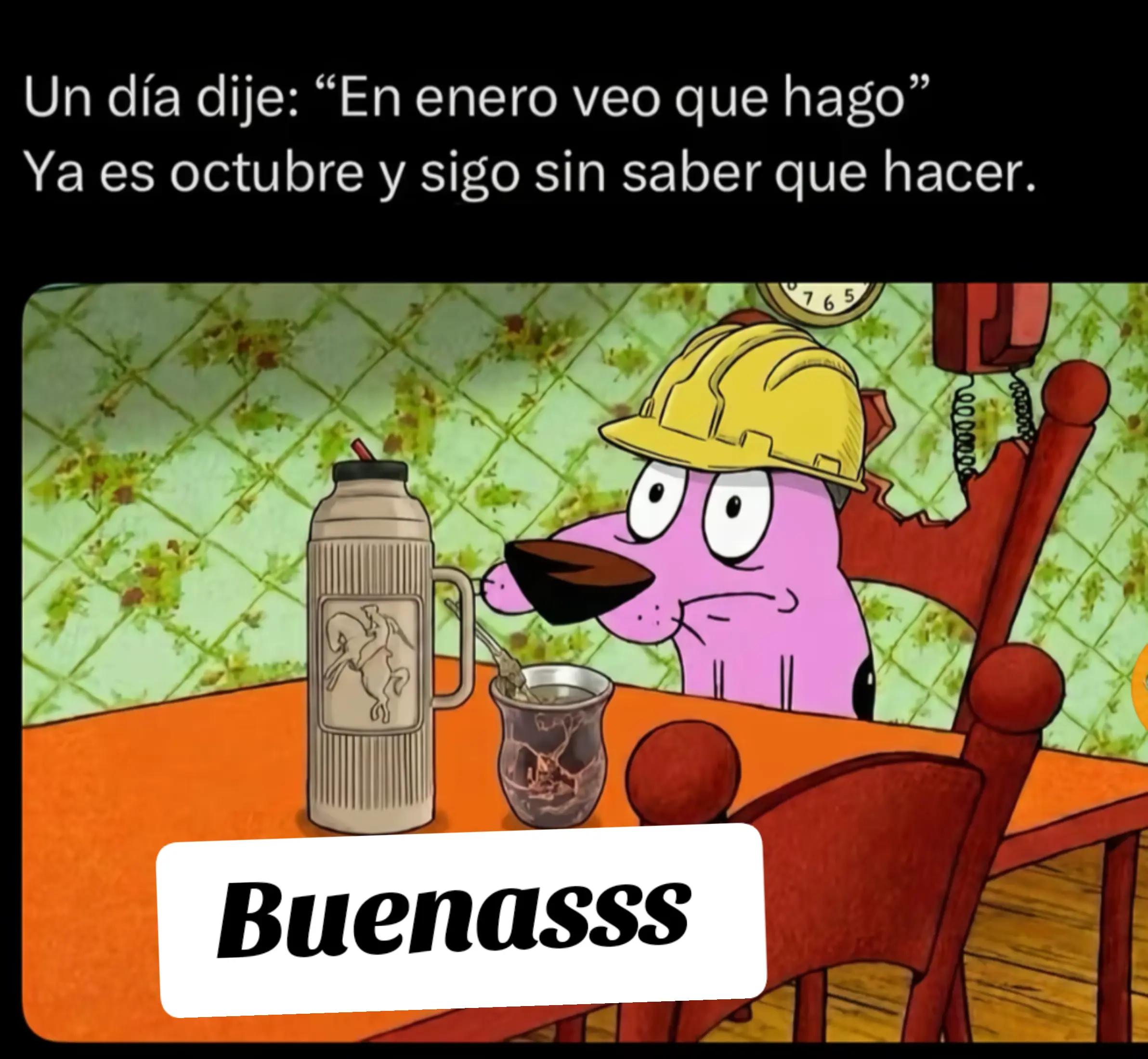 @alileiva ✨🌺🫀🧠🥂