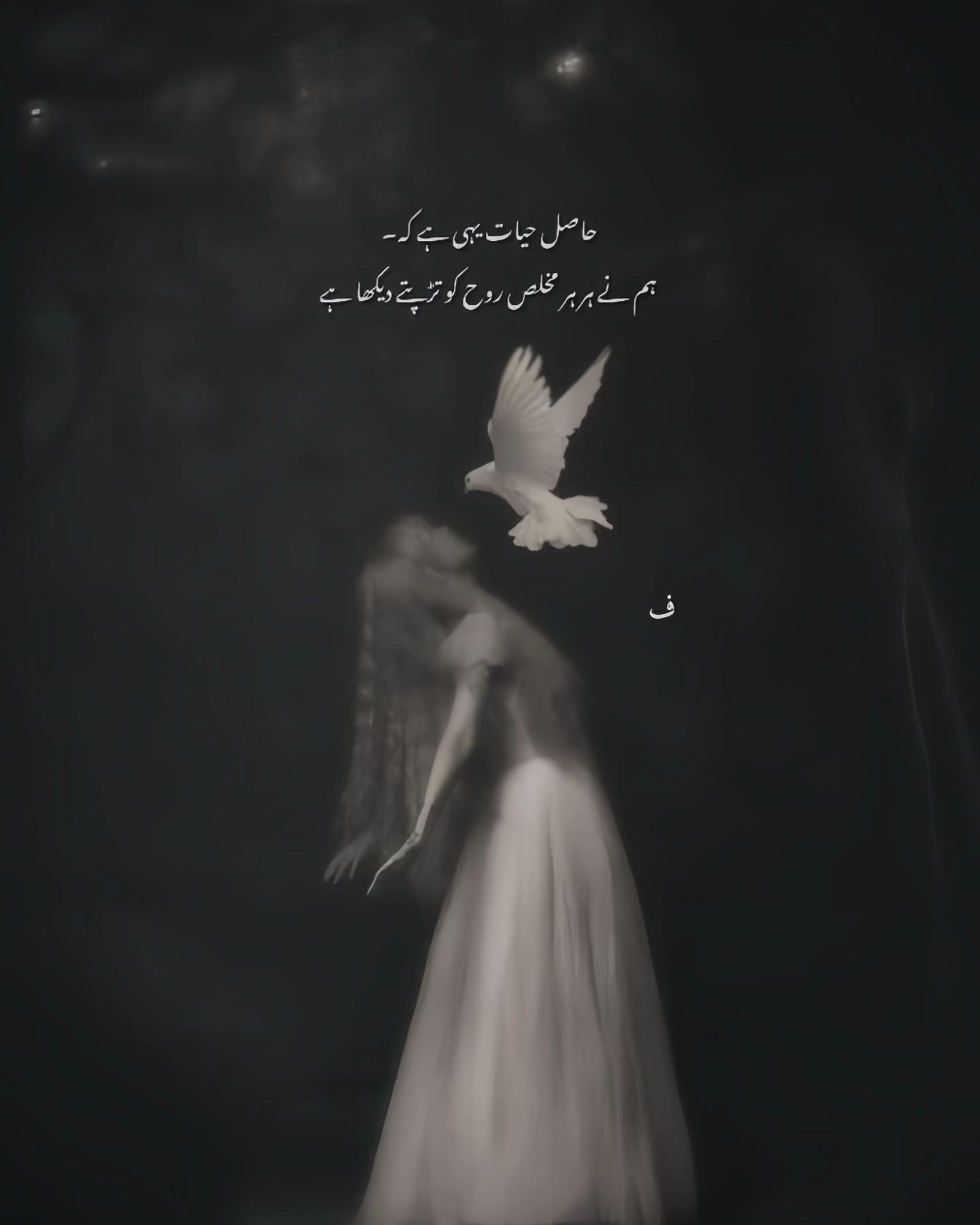 @AQIB MALIK🍃📖💫