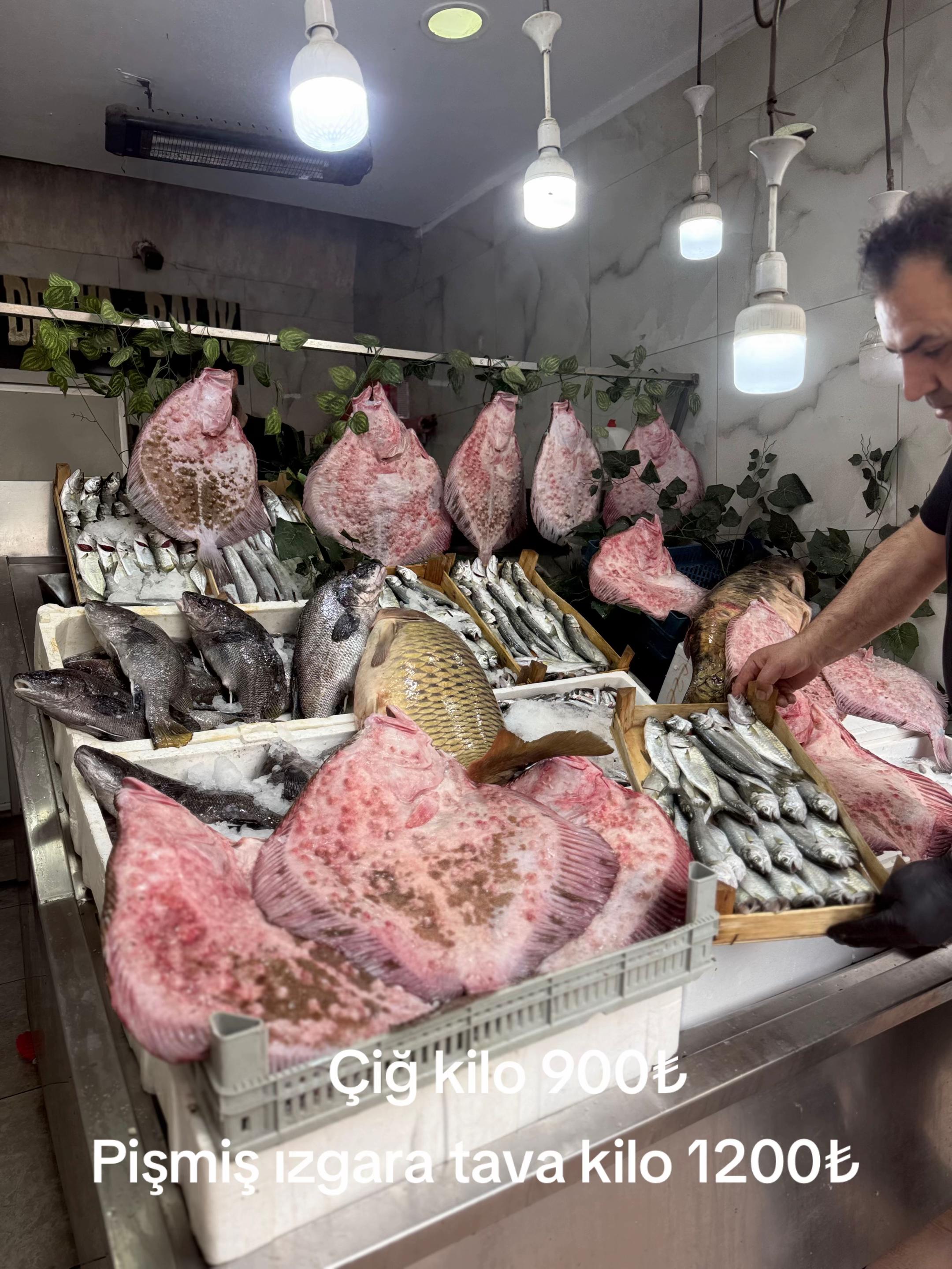 @cihanderyabalikbah&ccedil;elievler