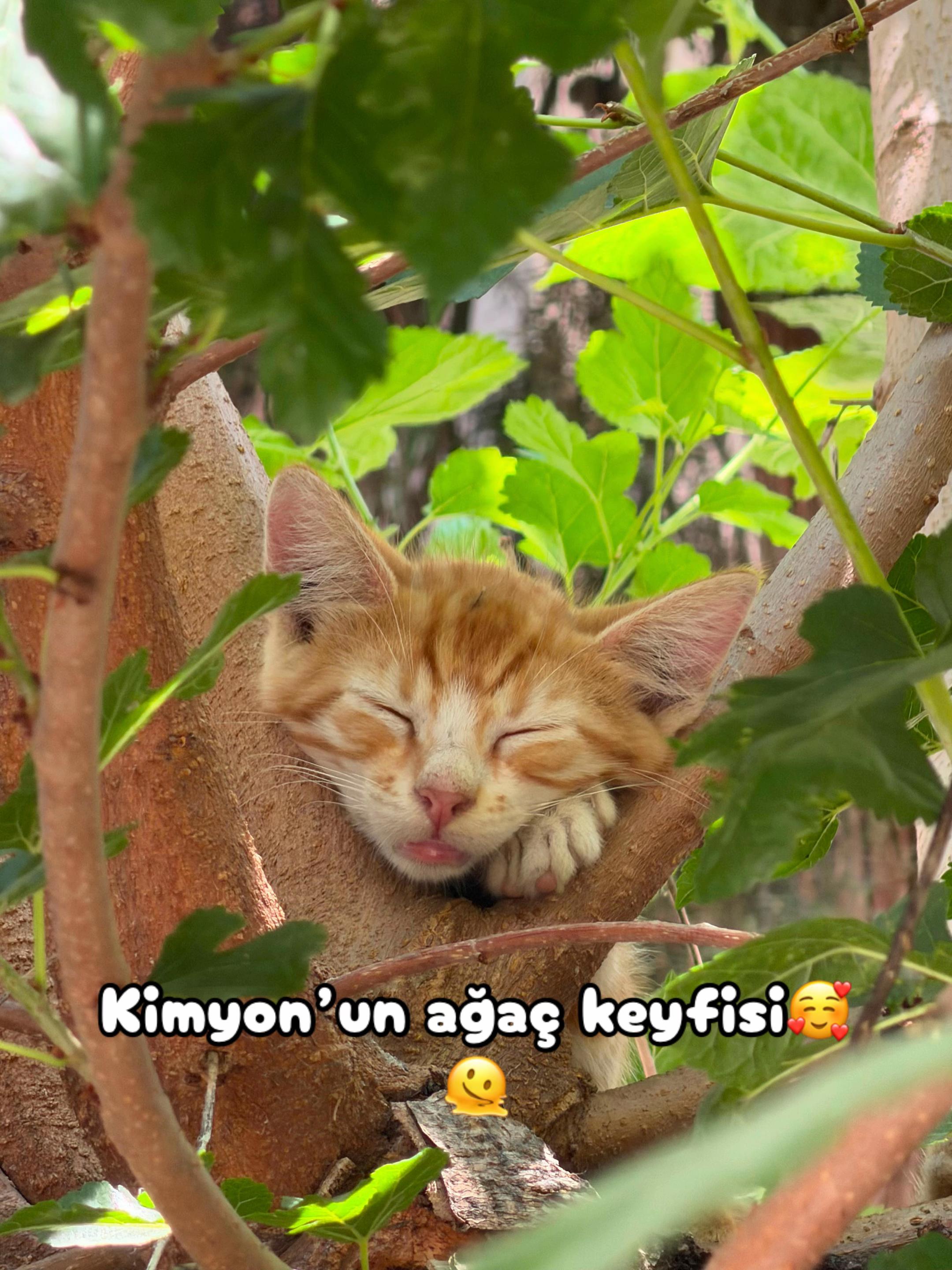 @Şapkalı Kadın