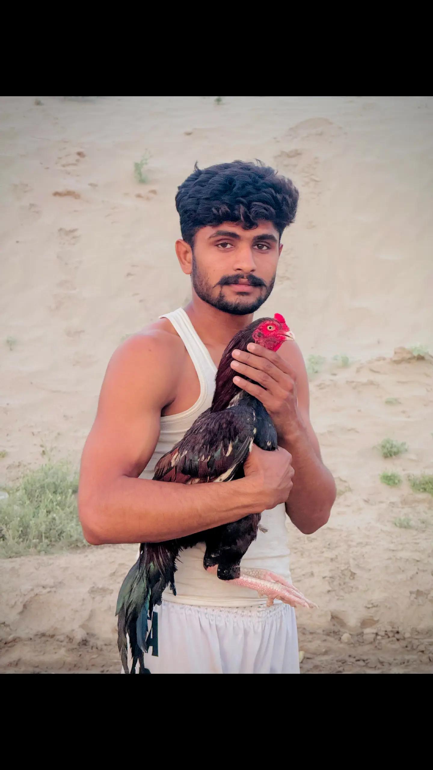 @Ali Nahra