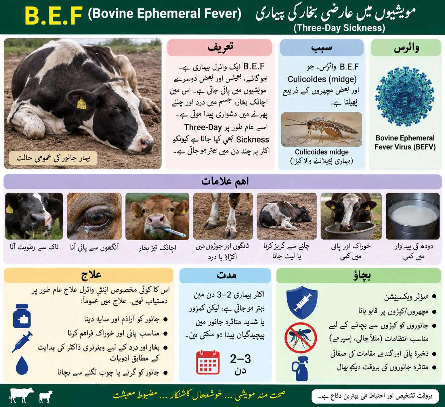 @Dr Hamza VA Kabirwala