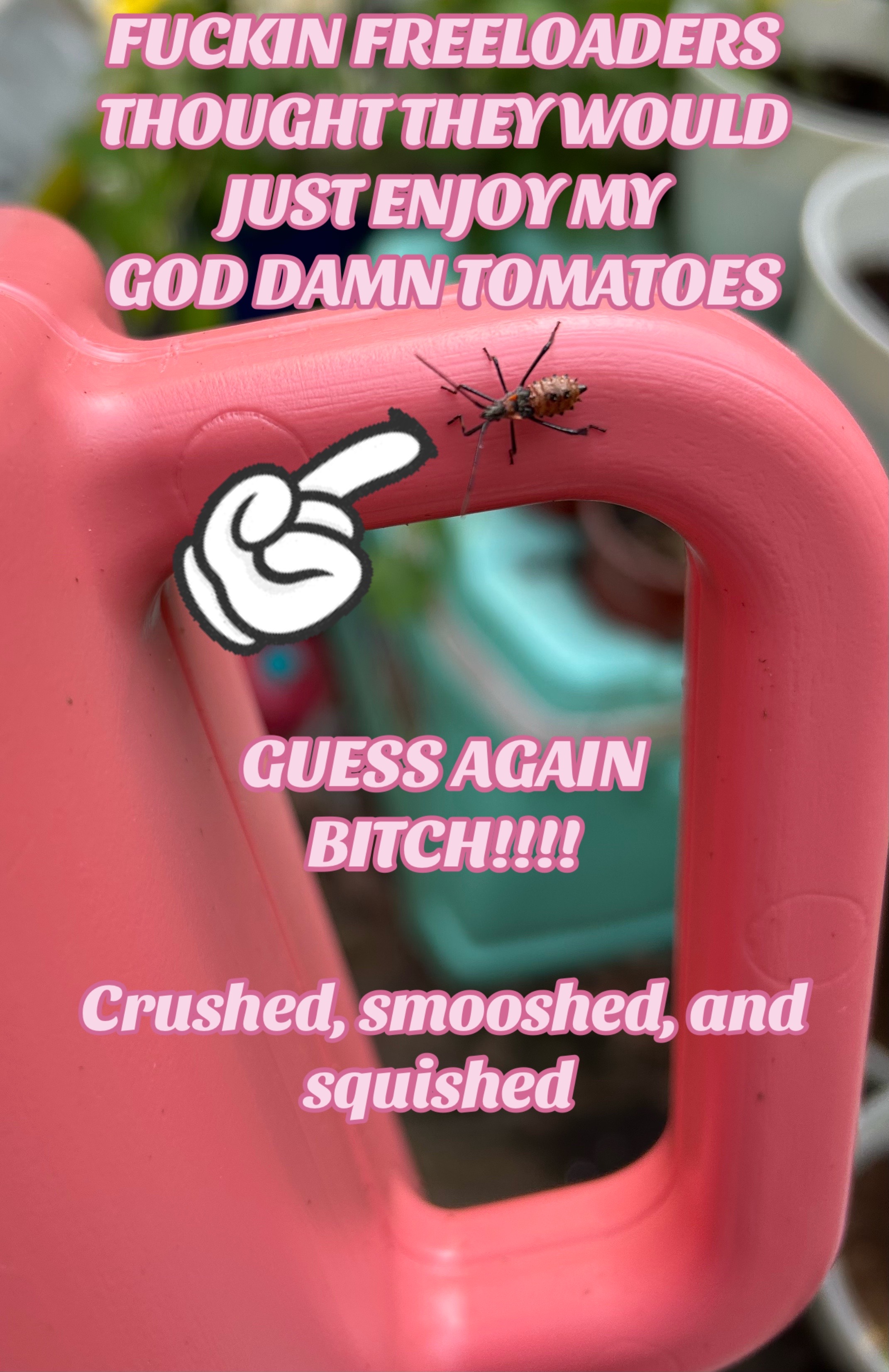 @Turbo Zombie