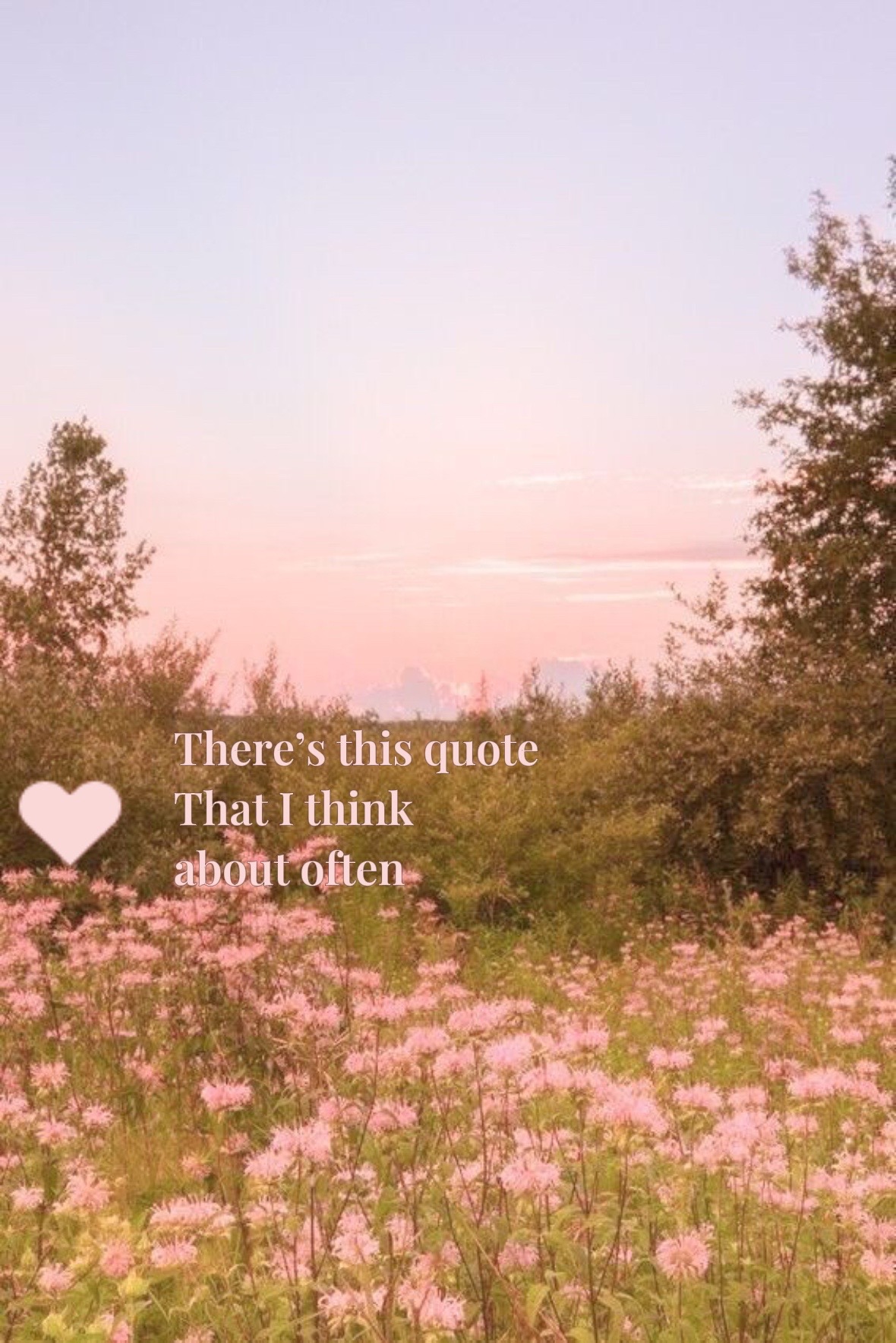 @lalaboot