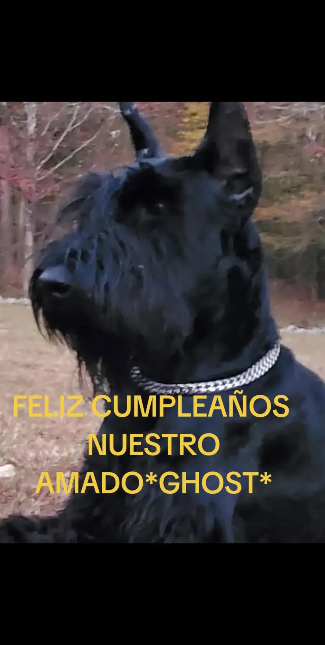 @Mulatisima66