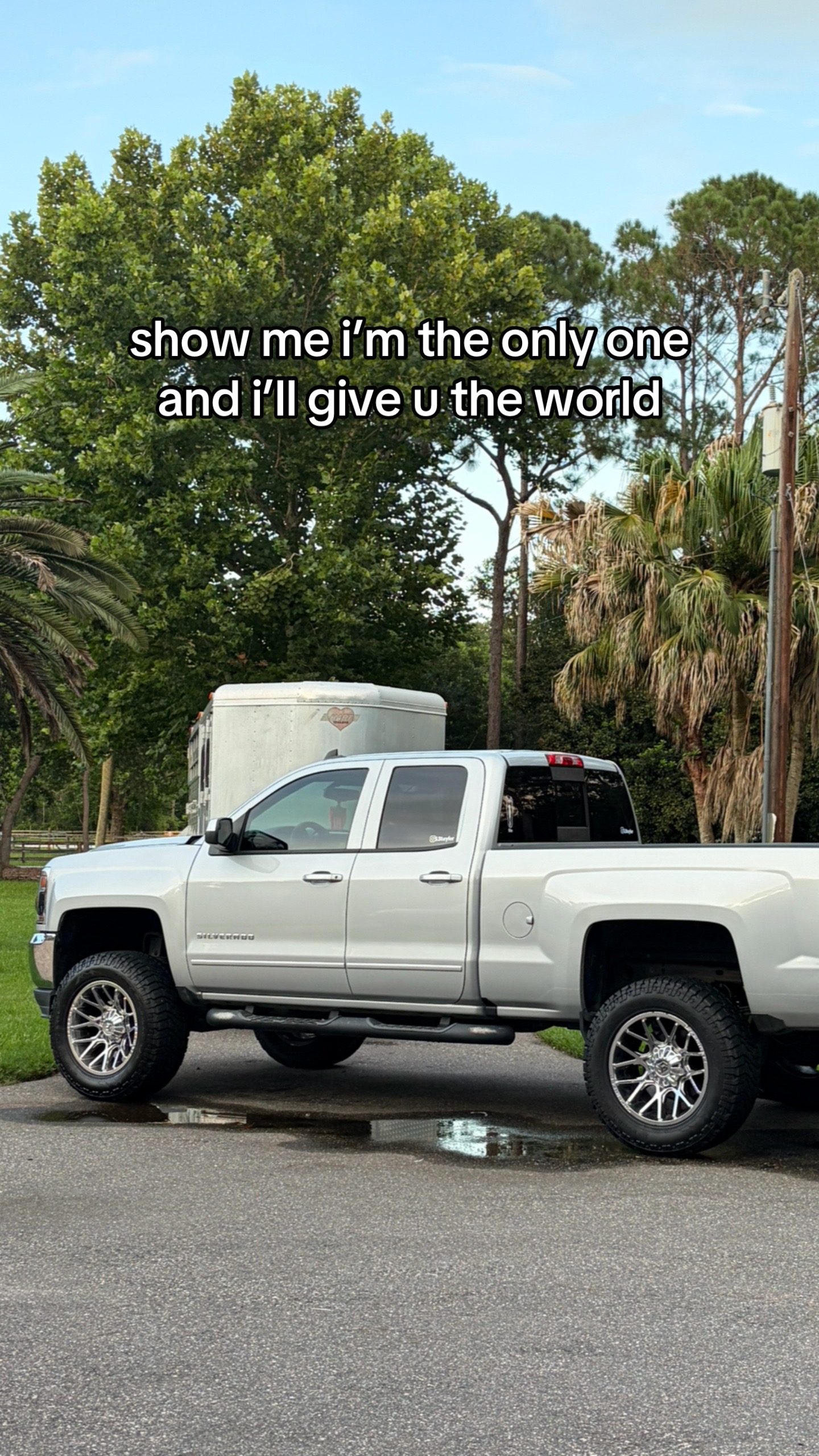 @5.3taylor