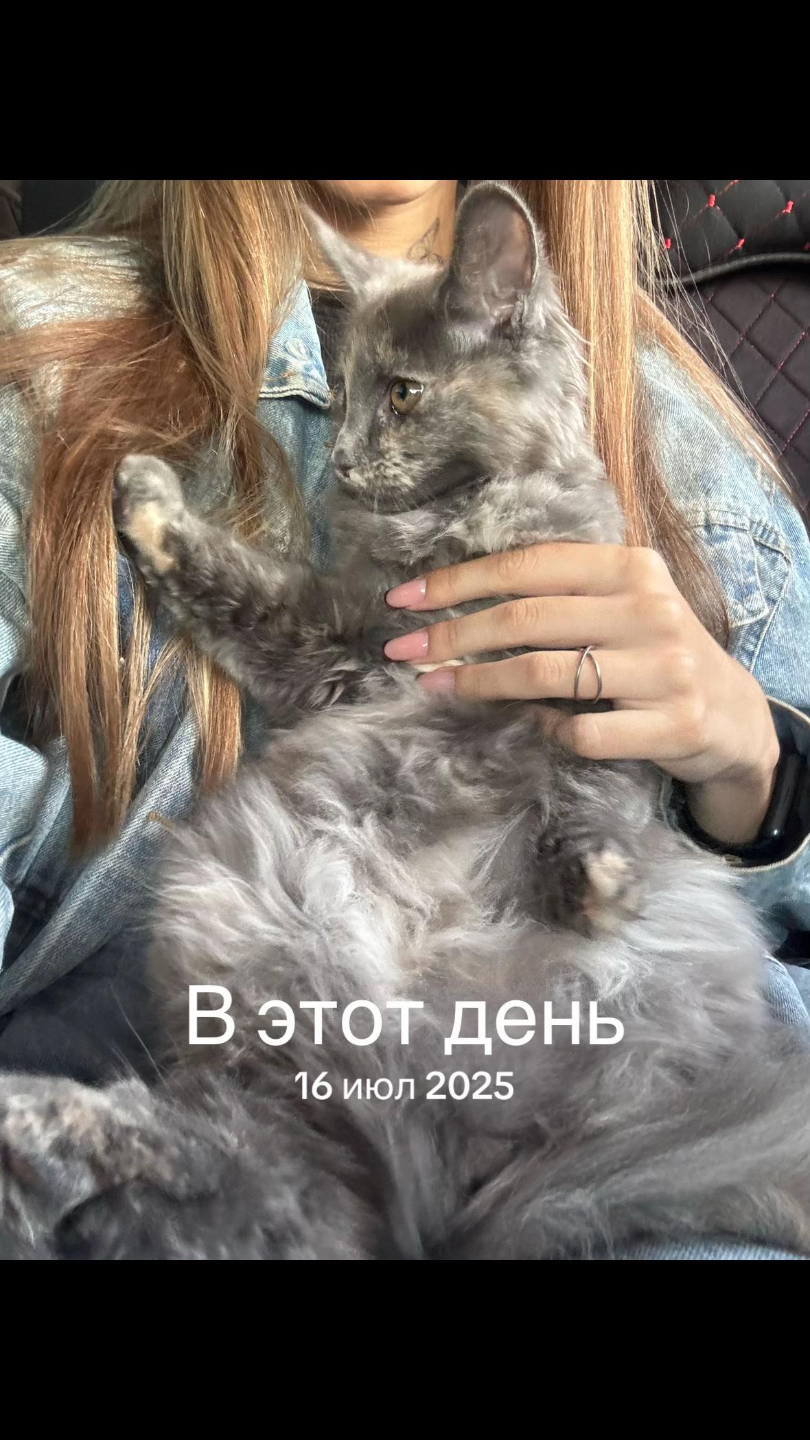 @pypypi