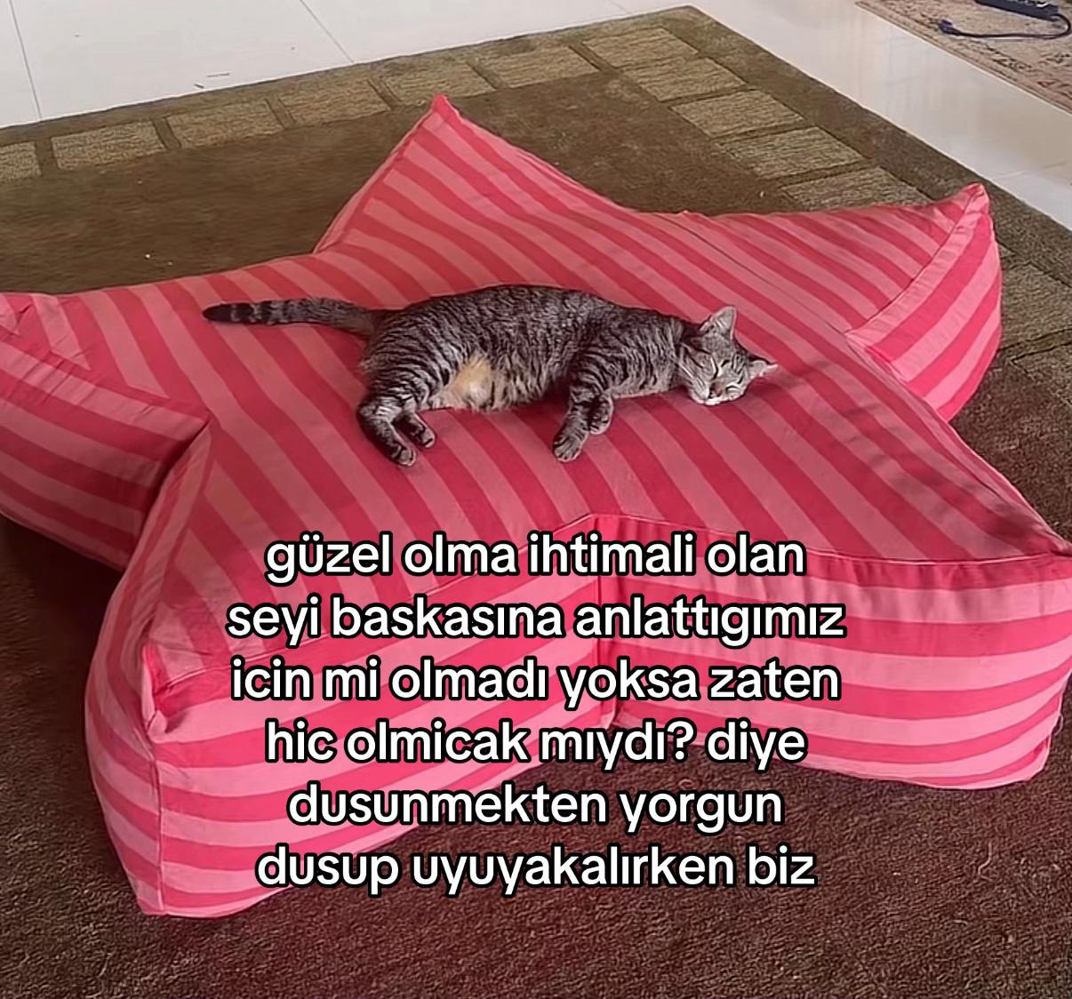 @askbulans hazretleri ✮⋆˙⋆.𐙚 ̊