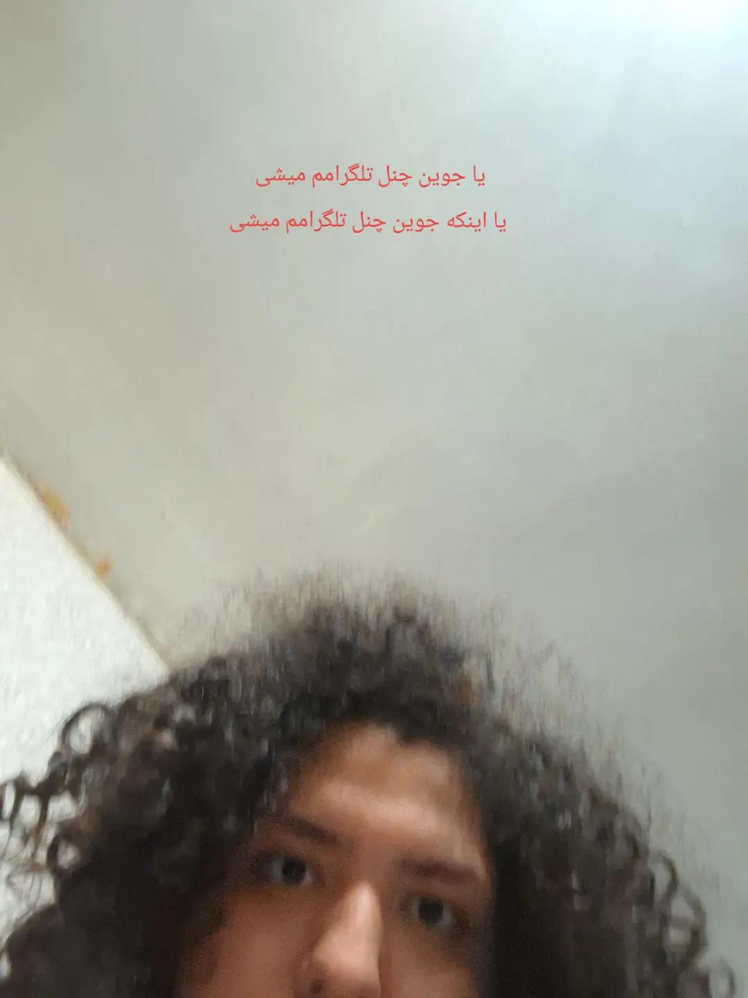 @felanuser1