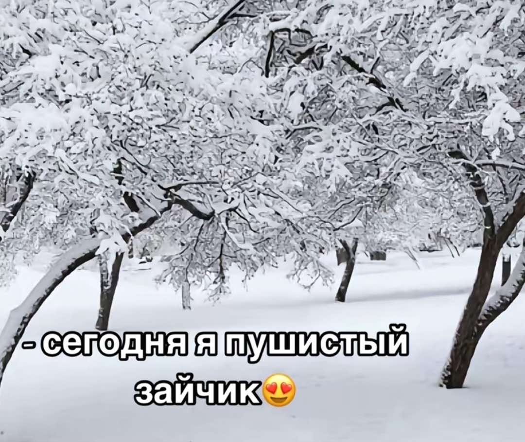 @shuporangporang.linos0_0