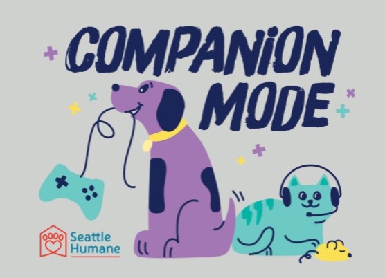@Seattle Humane
