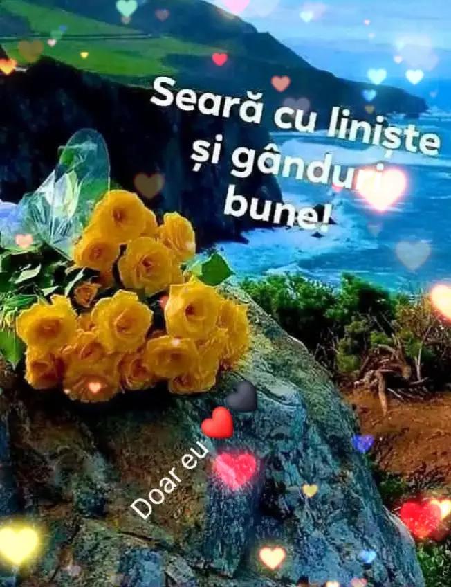 @Nicolae Iamandi Marin