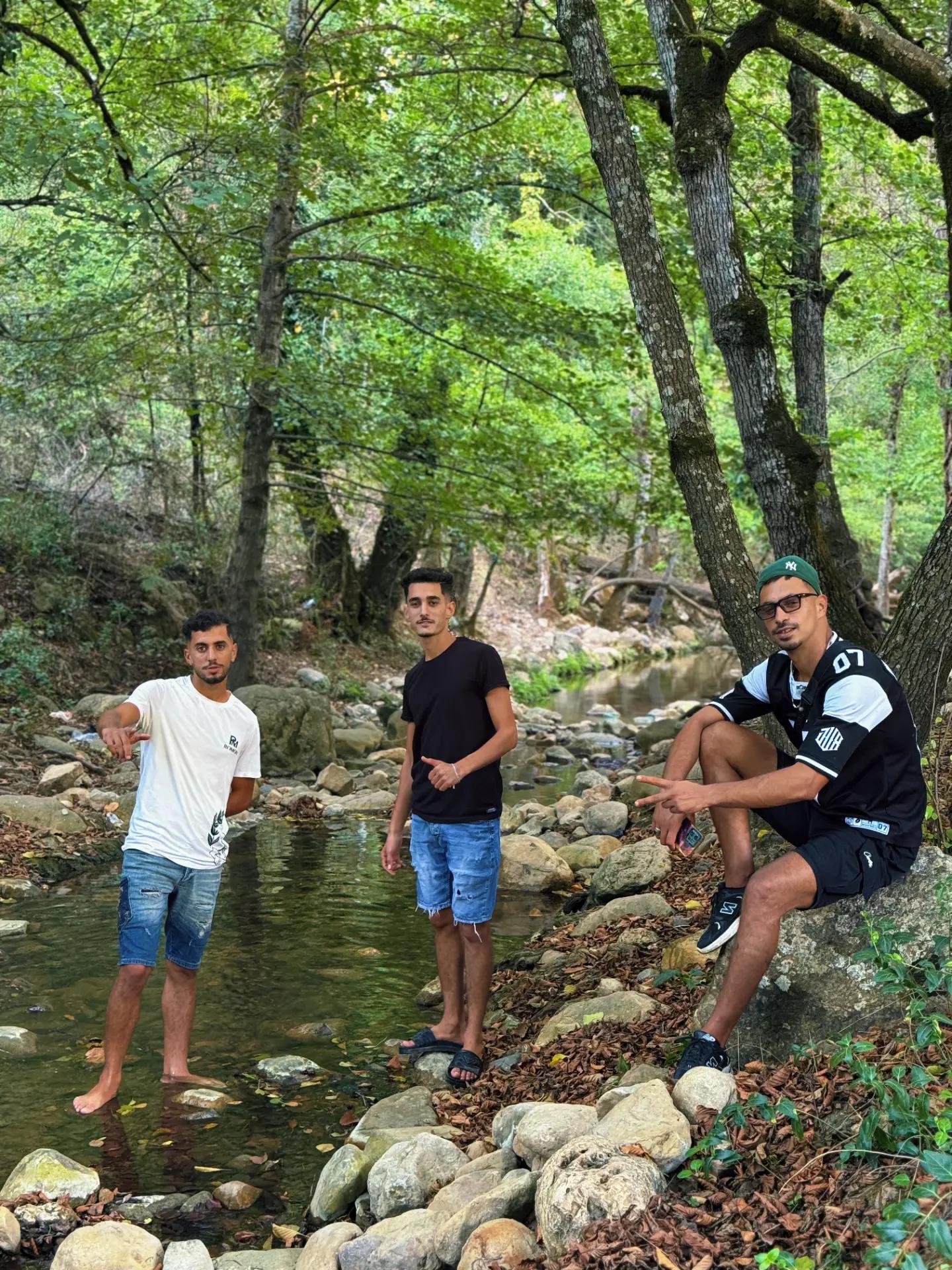 @imm. ortal