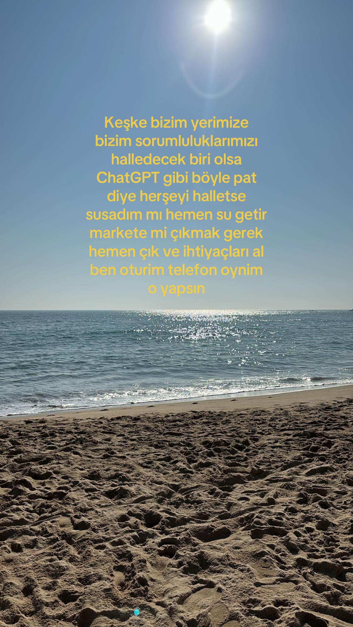 @Bizdir