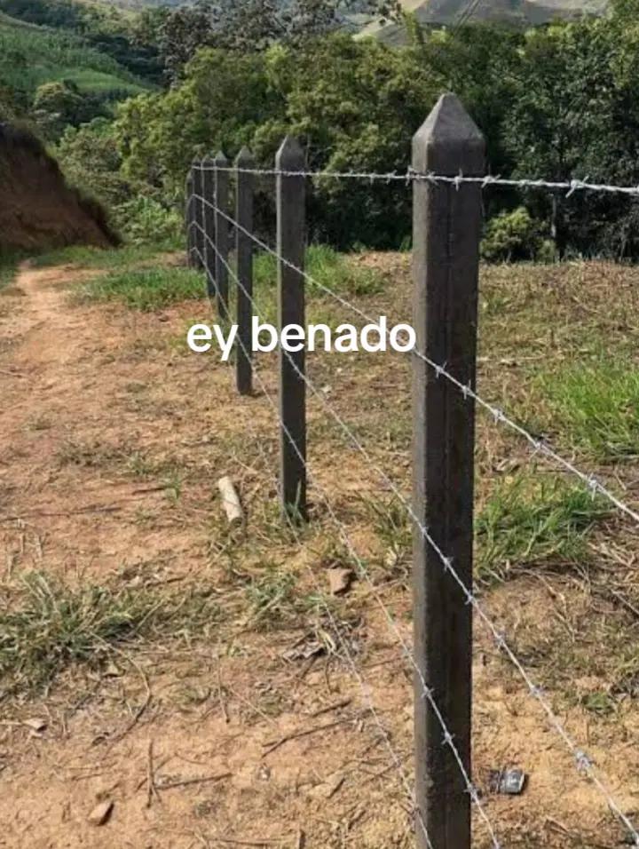 @*Axel*