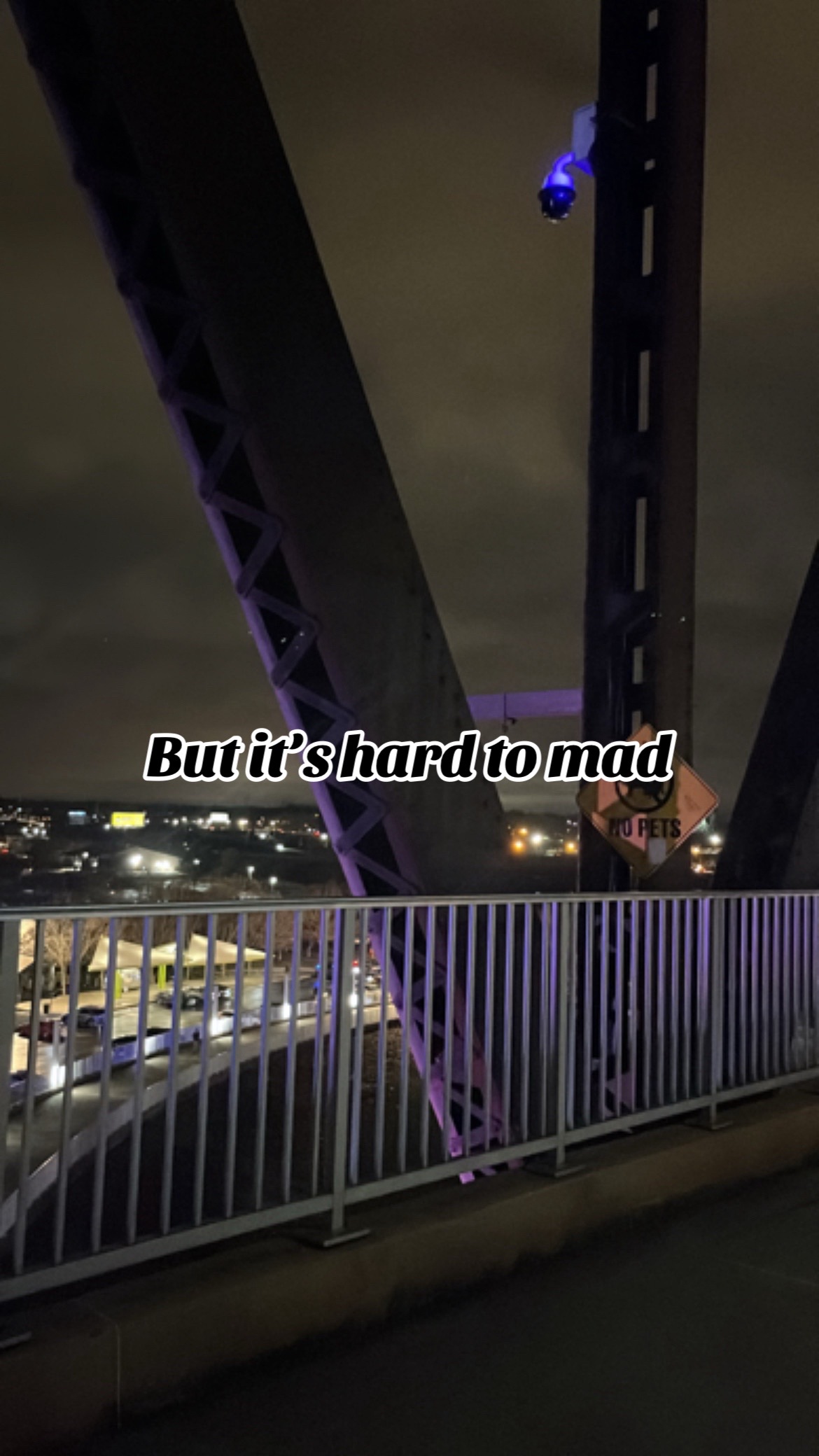 @🕷️