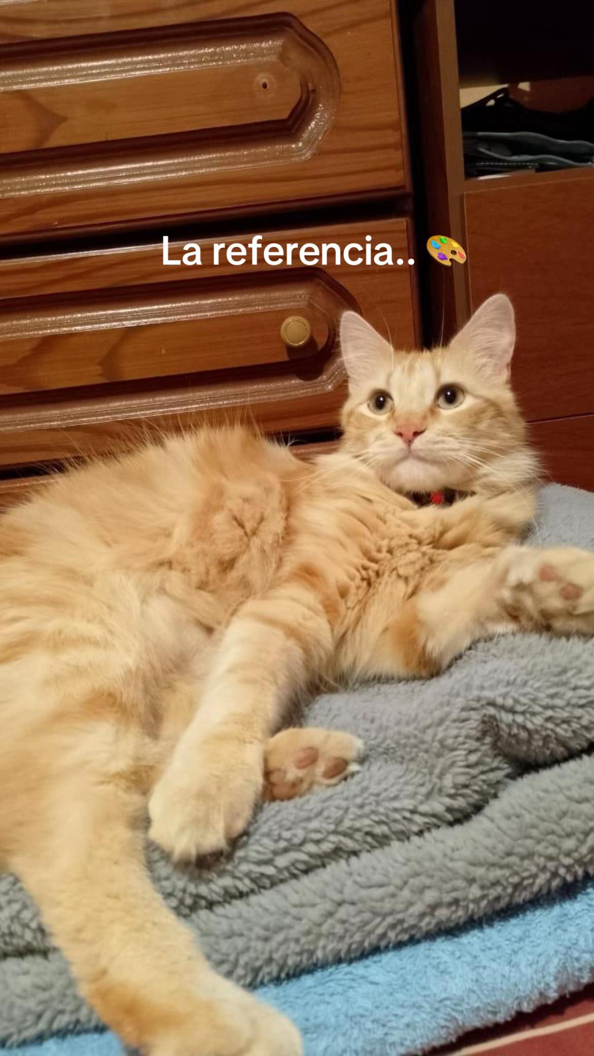 @Constanza Dur&aacute;n