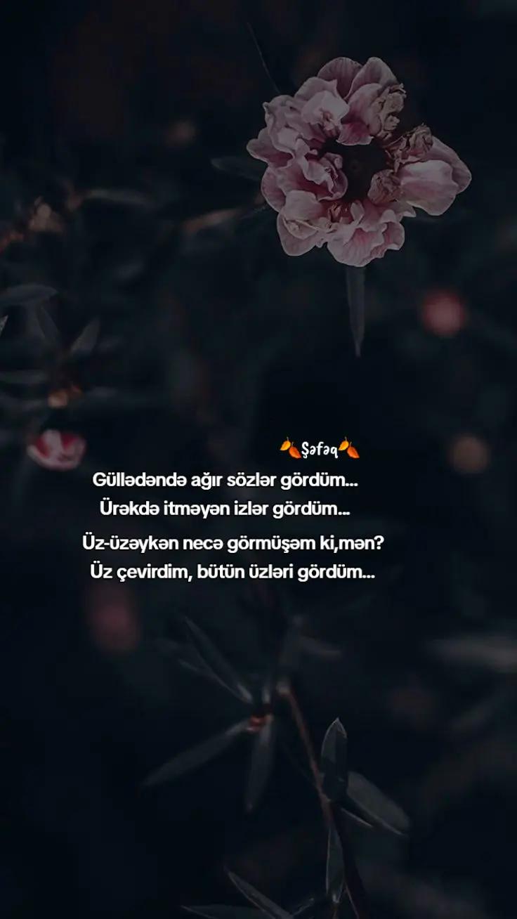@🍂ŞƏFƏQ🍂
