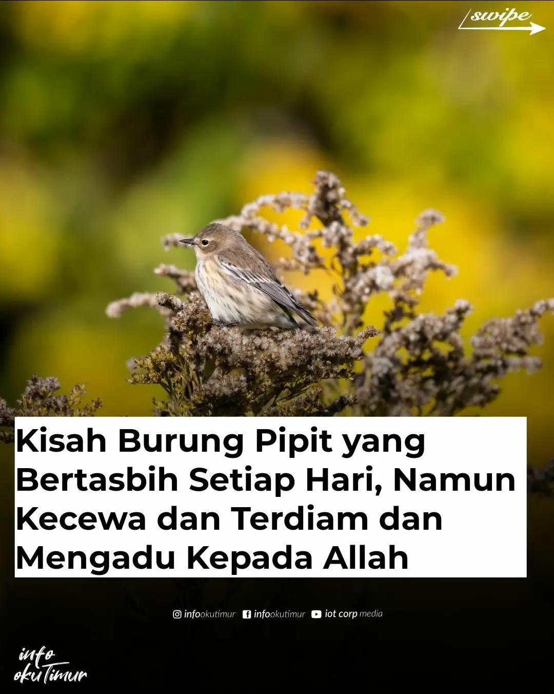 @FI SABILILLAH