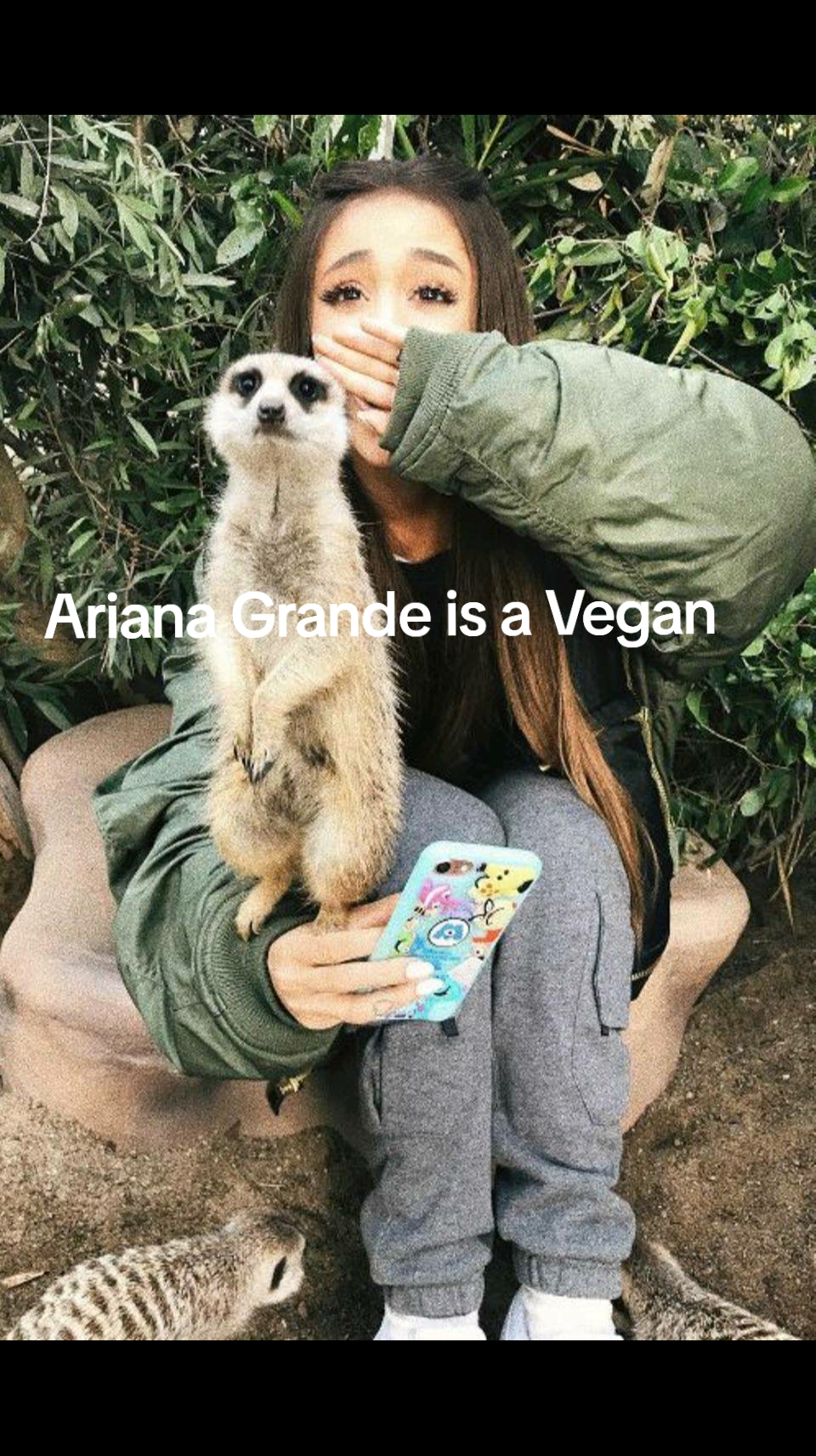 @thegrandenews