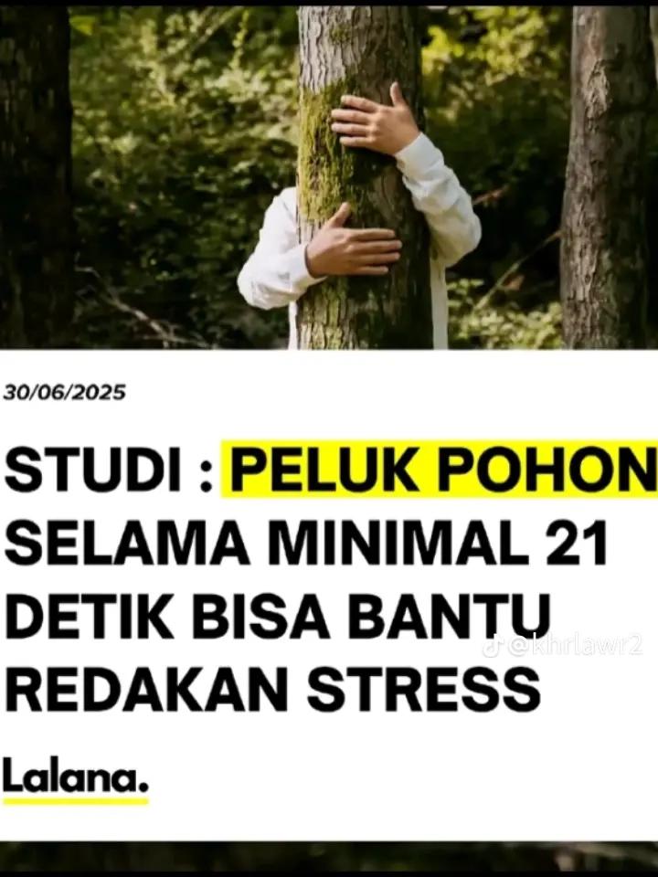 @kahfi