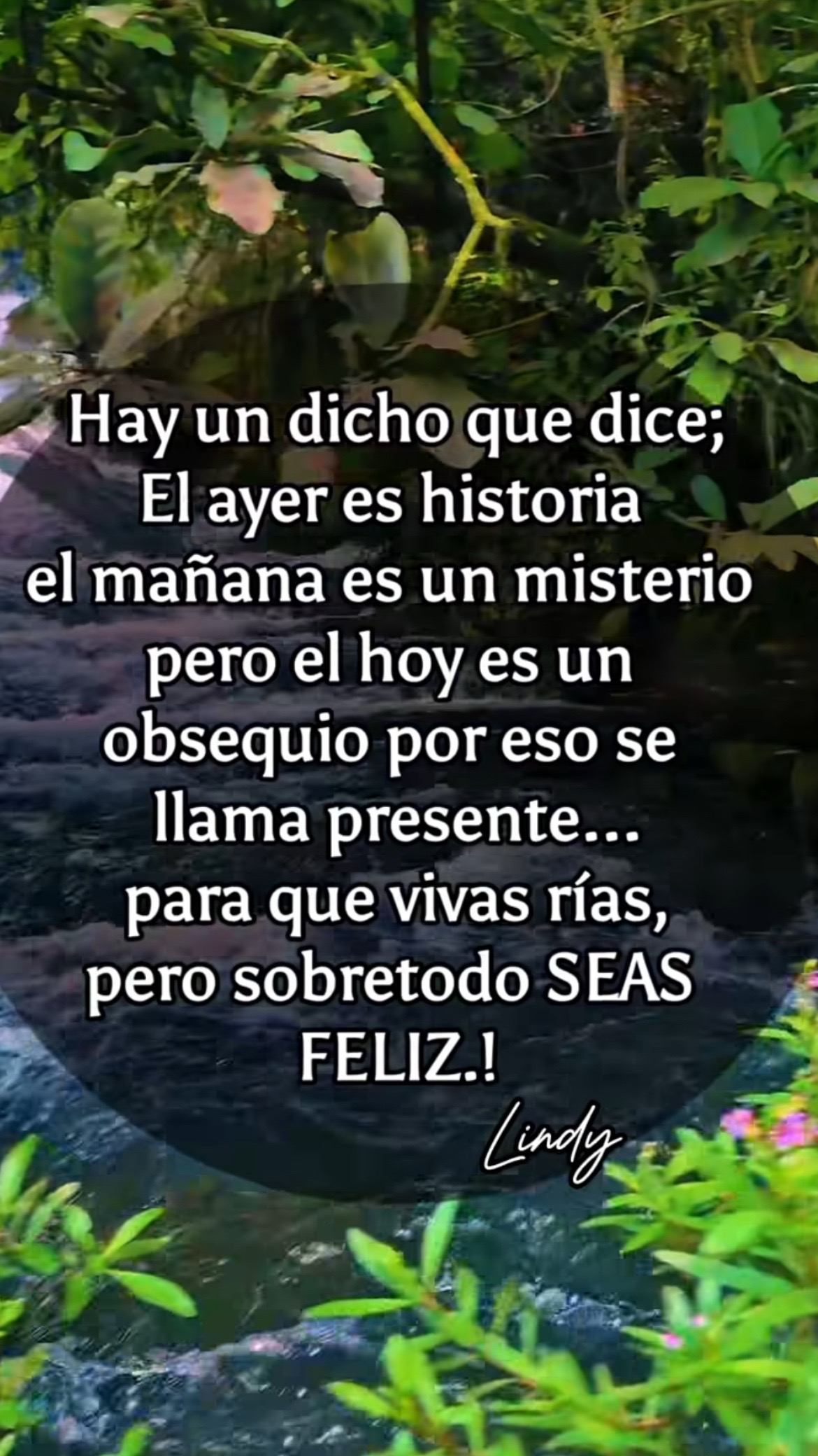 @Pedro Cruz