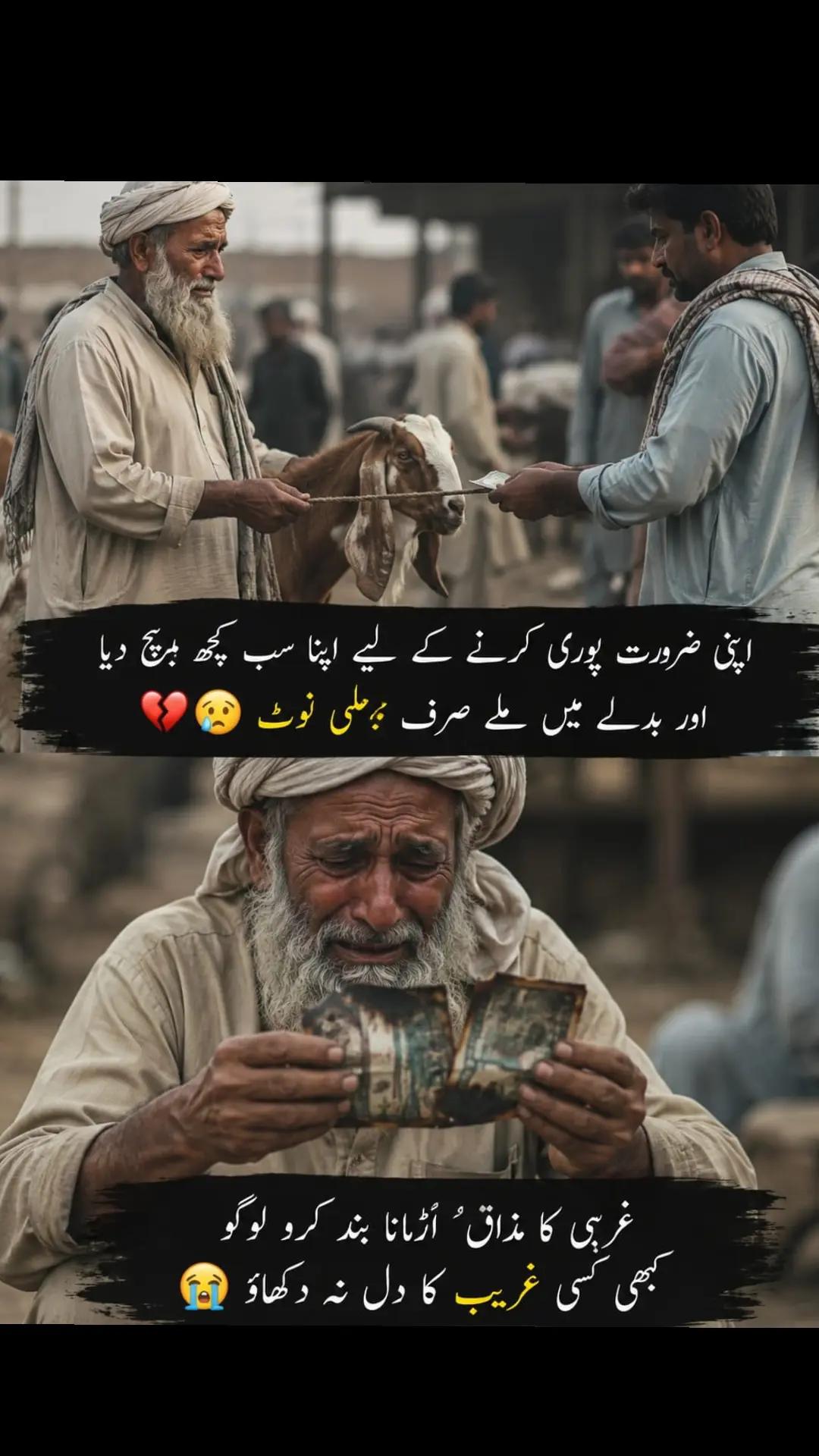 @𝓬𝓱𝓸𝓸𝓽𝓲 𝓐𝓹𝓹𝓲🤗🥰
