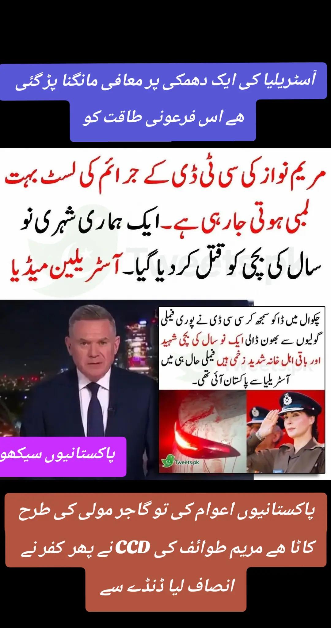 @اڈیالہ 804