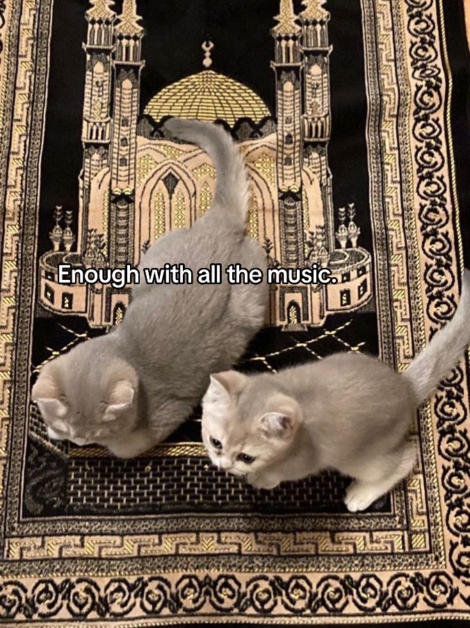 @﷽