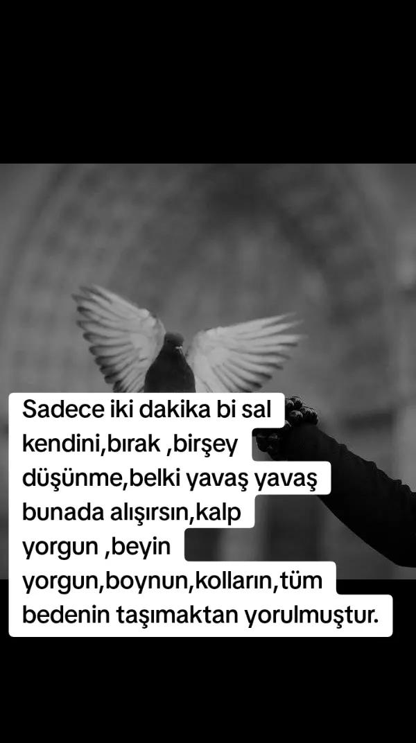 @Mico_Boncuk