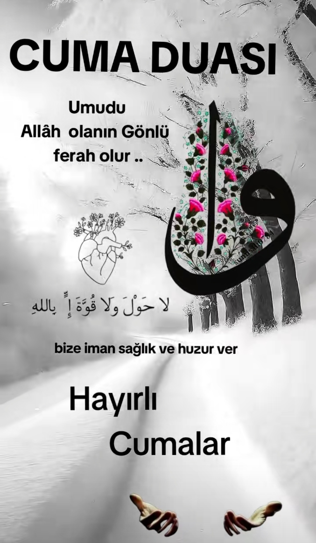 @aslan.44.44