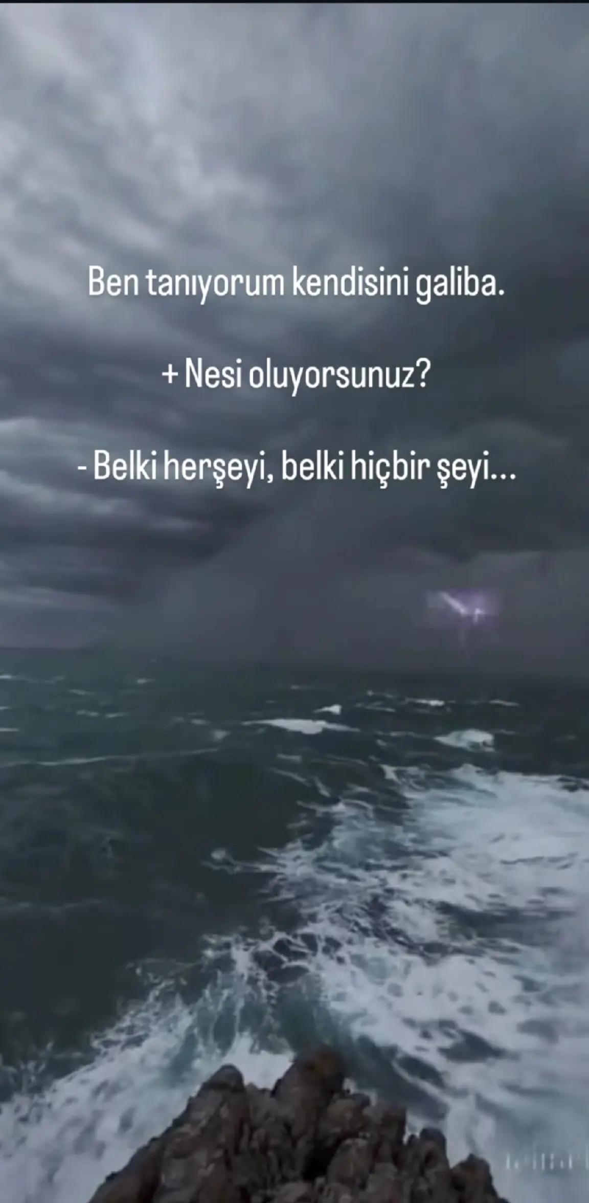 @mavideniz