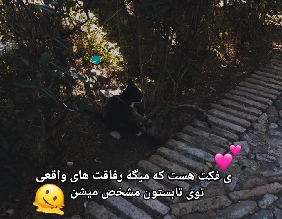 @Lili😝