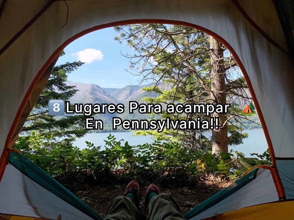 @Camilo Núñez