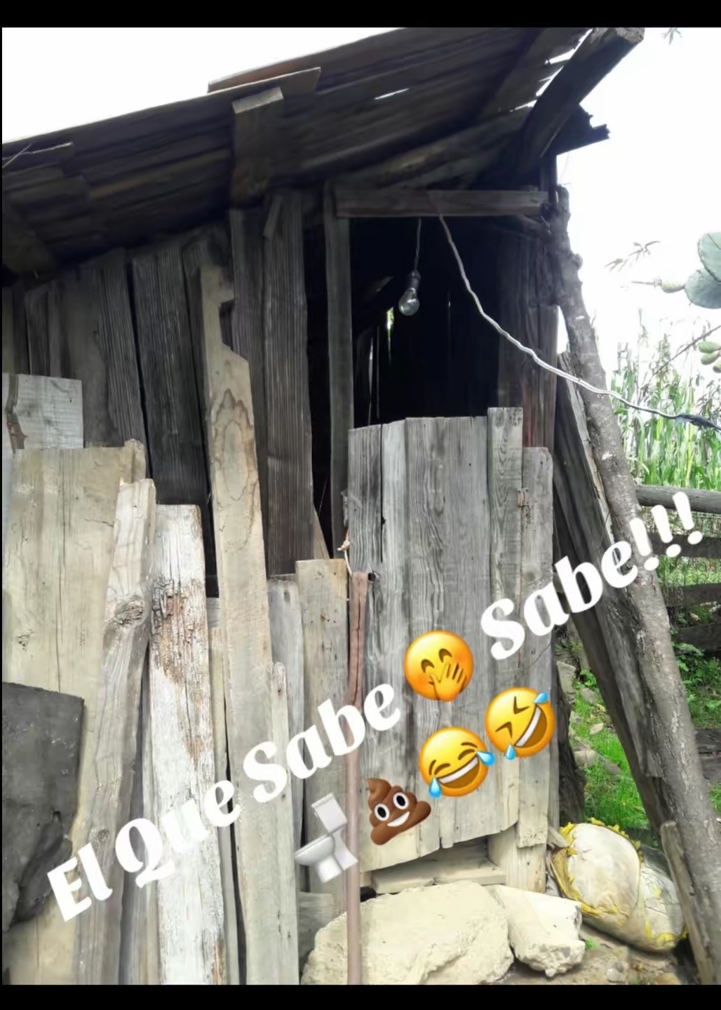 @soyXol888