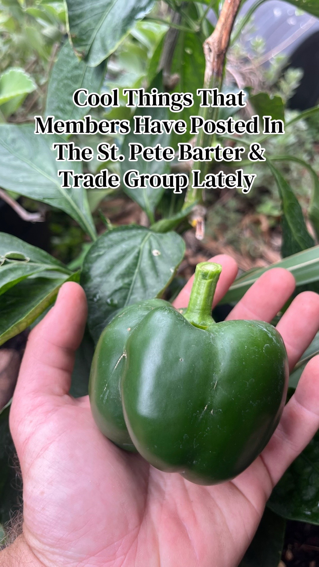 @St Pete Barter & Trade