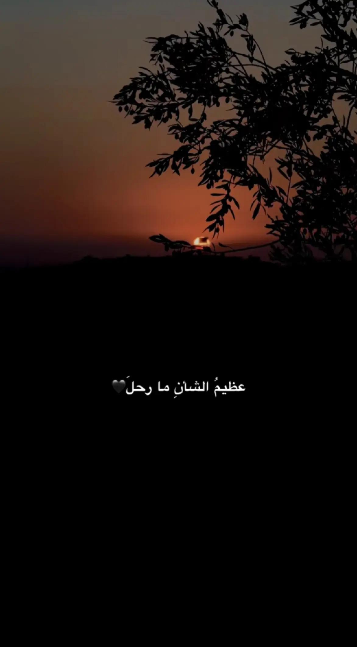 @𓆩𓆩جـۗـۗـۙاد || 𝓙𝓐𝓐𝓓𓆪𓆪